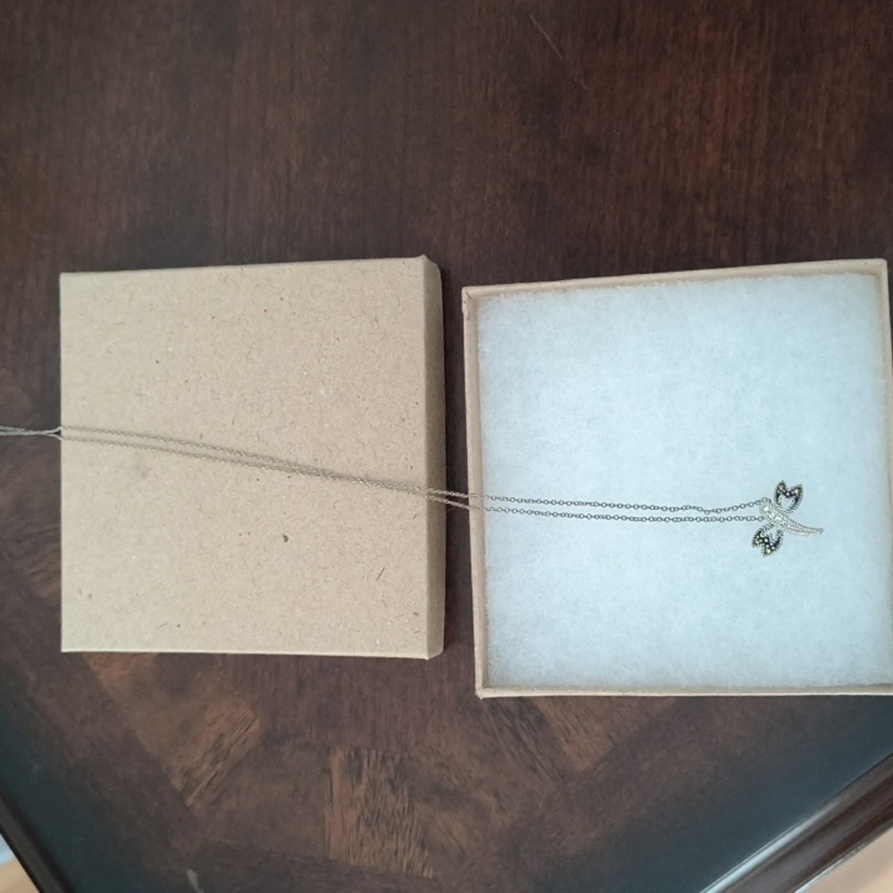 Elegant Silver Necklace with Dragonfly.